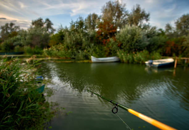 Fishing rod in Danube Delta, tranquility at the lake