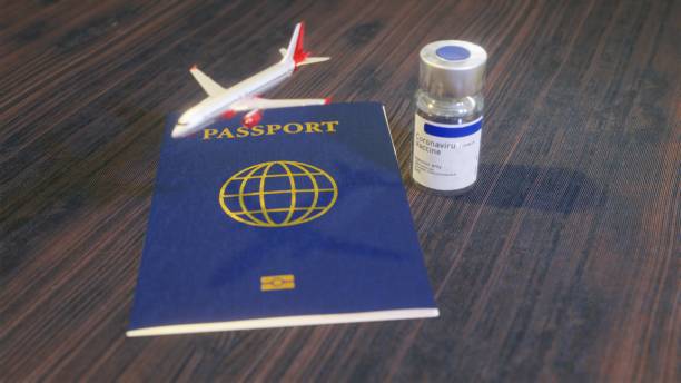 istock Coronavirus COVID-19 Vaccine Immunity passport airplane 1292377805