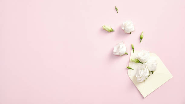 istock Envelope with white rose flowers o pink background. Top view with copy space. Happy Valentine's Day, Women's Day, Mother's Day greeting card template. 1292381088