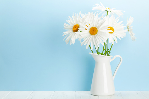 Chamomile flowers bouquet in front of blue background. Greeting card with copy space