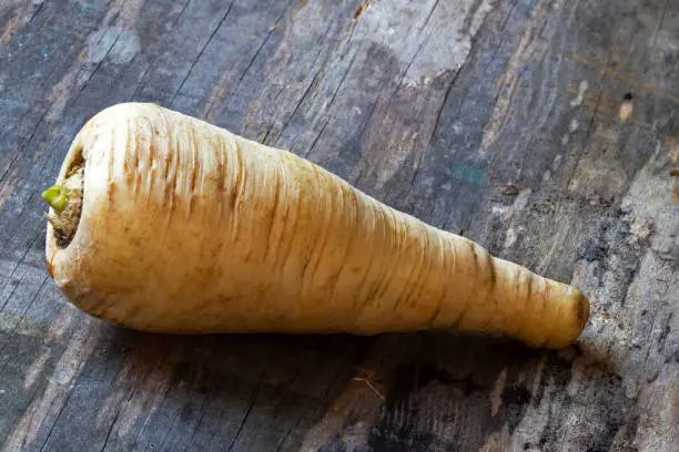 Studio shooting of parsnips, vegetables of yesteryear, brought up to date, 100 mm macro and flash, 200 iso, f 20, 4/5 second