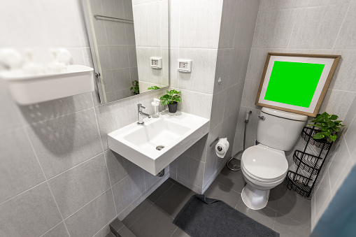 Green screen Picture frames in the bathroom
