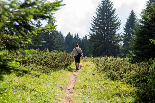 istock Man and dog walking away 1292387275