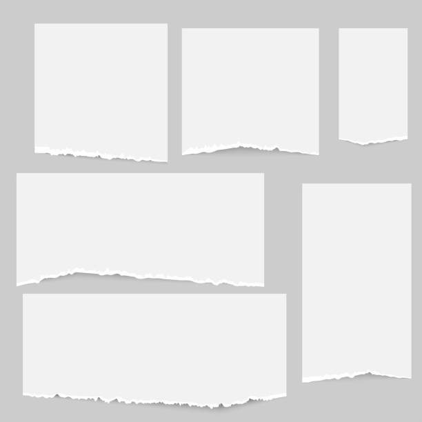 ilustraciones, imágenes clip art, dibujos animados e iconos de stock de conjunto de tiras de papel de nota rotas pegadas en el fondo gris. vector - torn paper