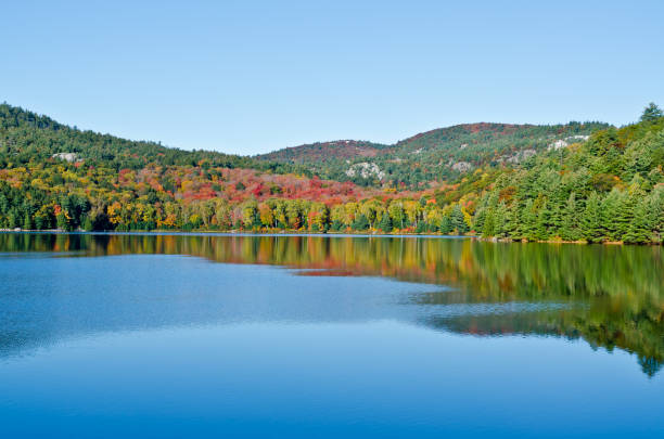 istock Sunrise above forest lake 1292396846