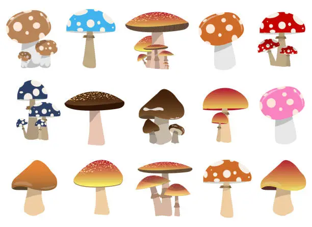 Vector illustration of Mushroom vector design illustration isolated on white background