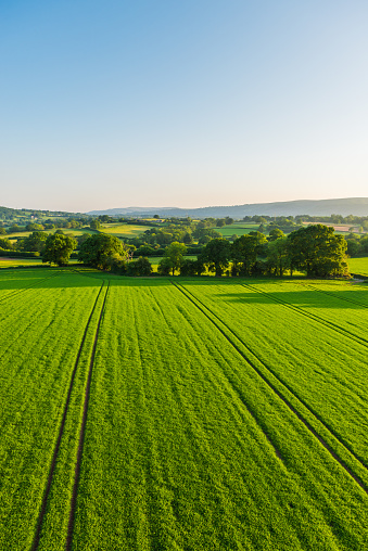 Aerial view over healthy green summer crops in a picturesque rural landscape of patchwork pasture and country farms.