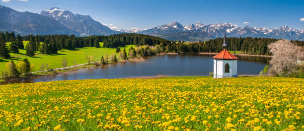 panoramiczny krajobraz w bawarii z górami i łąką na wiosnę - cumulus cloud lake water forest zdjęcia i obrazy z banku zdjęć