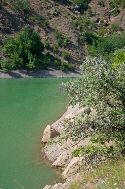 istock Near Panagia lake in Crimea 1292410081