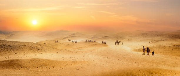 vista sobre el desierto - camel desert travel safari fotografías e imágenes de stock
