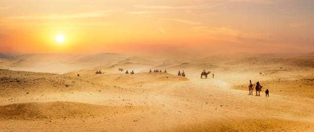 vista sul deserto - camel desert travel safari foto e immagini stock