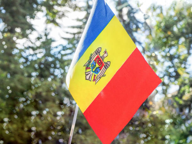 istock Small flag of Moldova on green tree background 1292414474