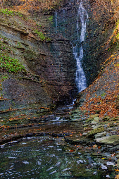 istock Vertical of Upper Westcliffe Falls in Ontario, Canada 1292414701