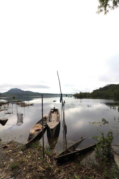 istock Old boats on the lake 1292416662