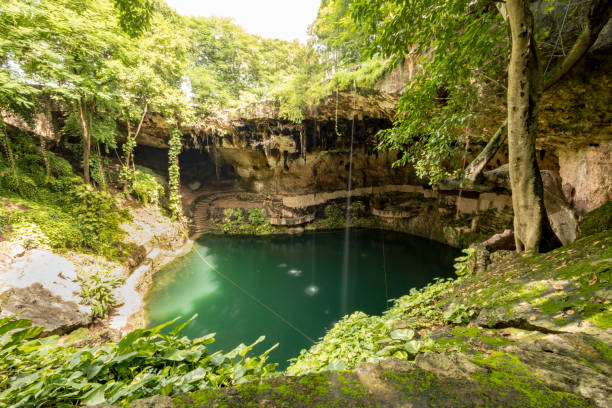 istock Natural pool in collapsed cave with hanging vines, stalactites and stalagmites 1292420551