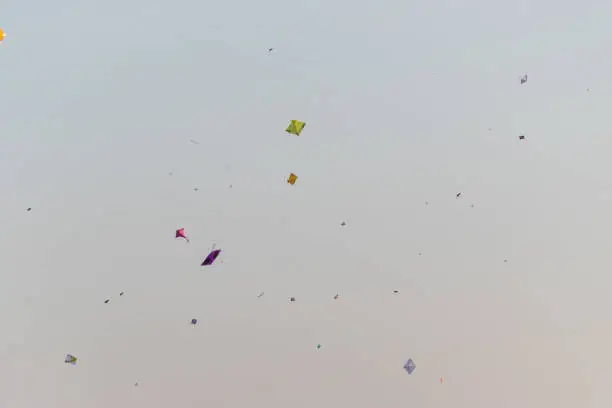 Photo of Flying Patang(kite) in the Makar Sankranti festival of India