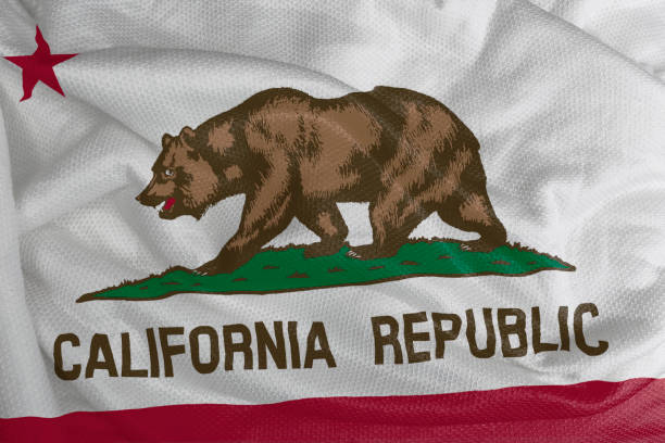 istock California flag waving from textured fabric 1292420940