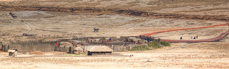 Masai village on the plain close to Serengeti Tanzania.  Dry grass, end o dry season.