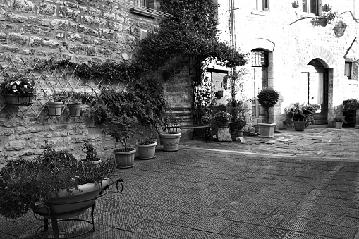 A courtyard with plant and clay pots of a stone house in a medieval italian village (Gubbio, Umbria, Italy)