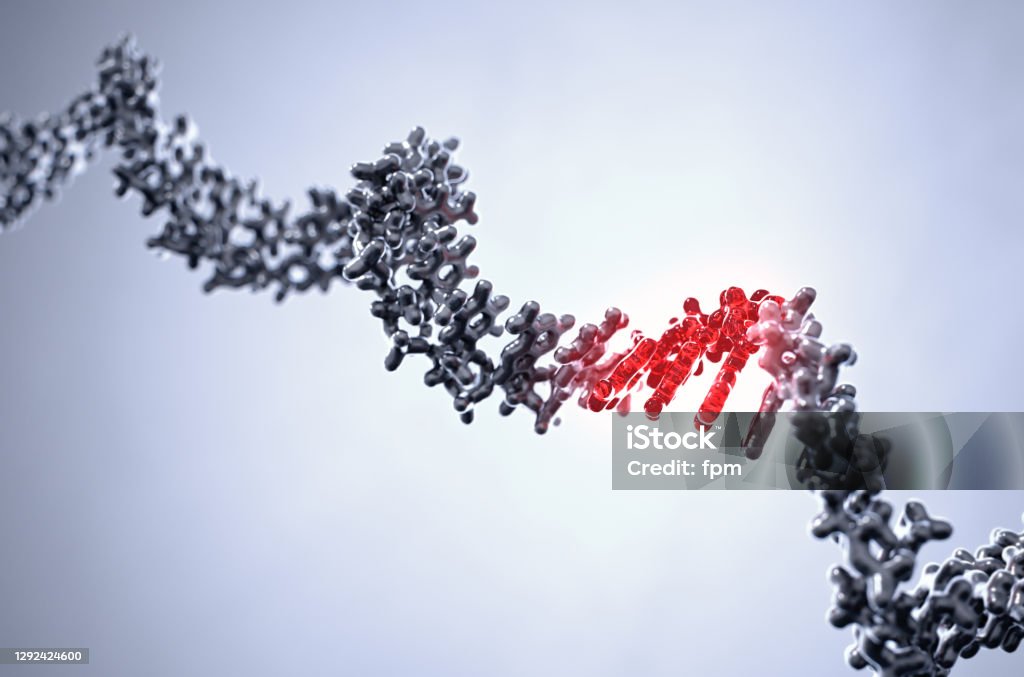 Genetic Variation by RNA Mutation Vizualisation of change of a triplet in the single-stranded Ribonucleic acid helix of a virus as happened in the Covid19 Coronavirus Sars-Cov-2. RNA Stock Photo