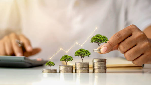 un hombre de negocios sosteniendo una moneda con un árbol que crece y un árbol que crece en una pila de dinero. la idea de maximizar el beneficio de la inversión empresarial. - ahorros fotografías e imágenes de stock