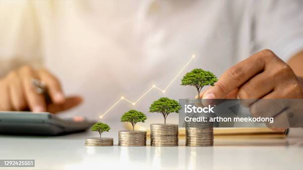 A Businessman Holding A Coin With A Tree That Grows And A Tree That Grows On A Pile Of Money The Idea Of Maximizing The Profit From The Business Investment Stock Photo - Download Image Now