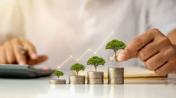 Photo of A businessman holding a coin with a tree that grows and a tree that grows on a pile of money. The idea of maximizing the profit from the business investment.