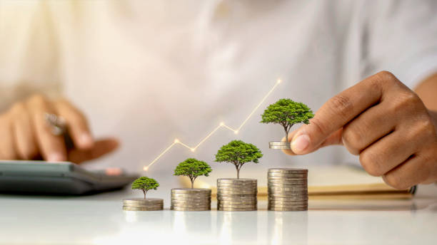 a businessman holding a coin with a tree that grows and a tree that grows on a pile of money. the idea of maximizing the profit from the business investment. - land issues imagens e fotografias de stock