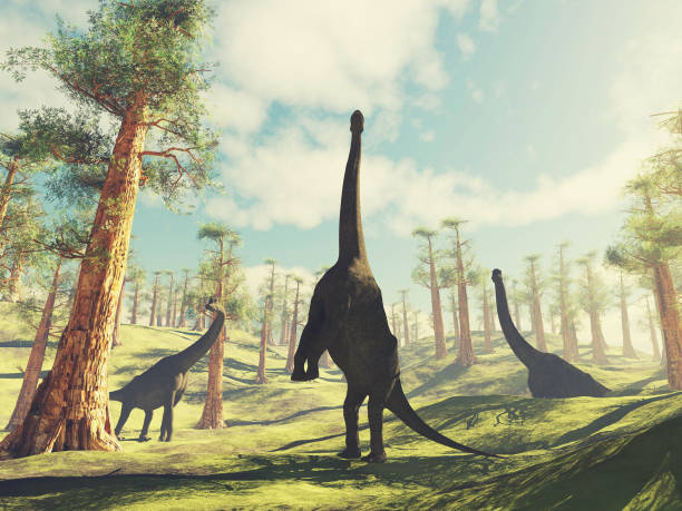 istock Group of brachiosaurus in the forest . This is a 3d render illustration . 1292430107