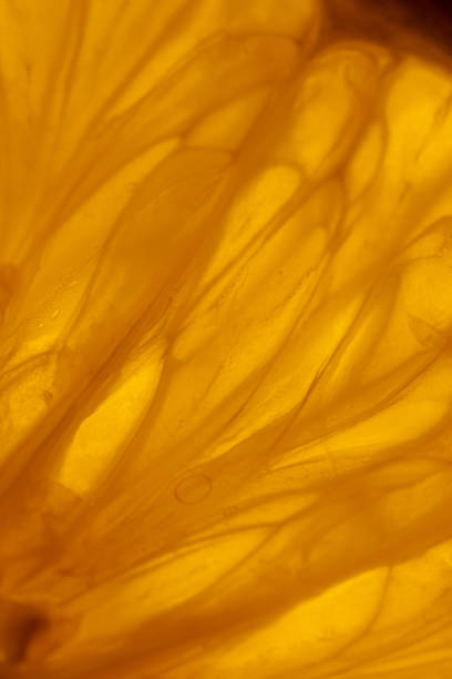 istock Close-up of orange slice 1292431744