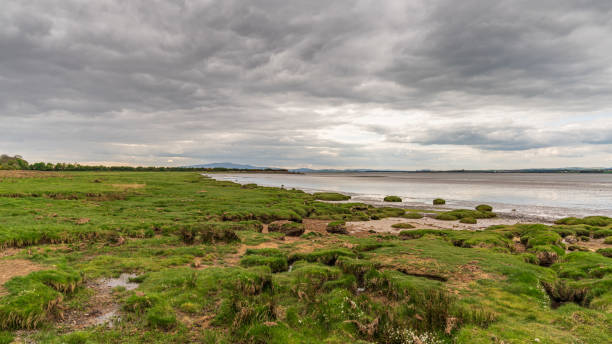 die solway-küste in bowness-on-solway, cumbria, england - esk river stock-fotos und bilder