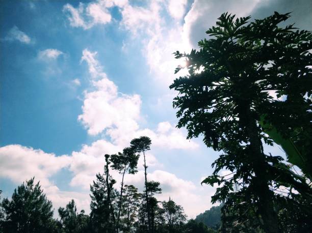 istock Natural Beauty and Sky 1292438744