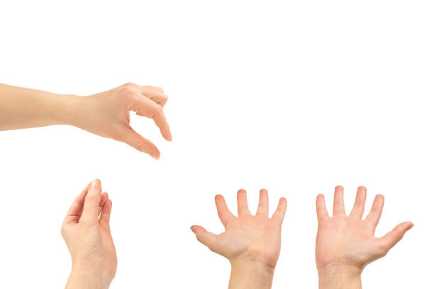 istock Woman hands wanting or asking for something. 1292439696