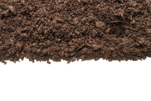 istock Black land for plant. 1292439733