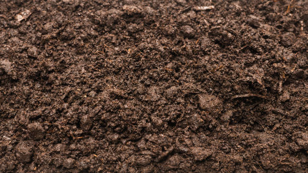 istock Black land for plant background. 1292439835