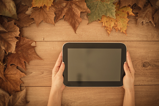 Directly above shot of unrecognizable woman holding a blank digital tablet against a wooden table with abundance of decorative autumn leaves arranged there.