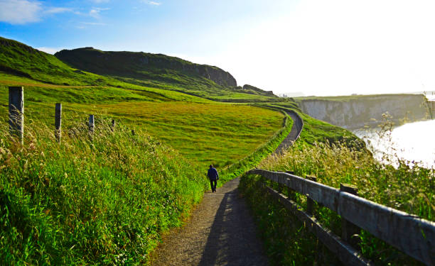 Back view of a man walk alone at the Giant's Causeway coastline footpath in a sunny day. Giant's Causeway , Northern Ireland, UK. July, 2016. Back view of a man walk alone at the Giant's Causeway coastline footpath in a sunny day, Northern Ireland. giants causeway photos stock pictures, royalty-free photos & images