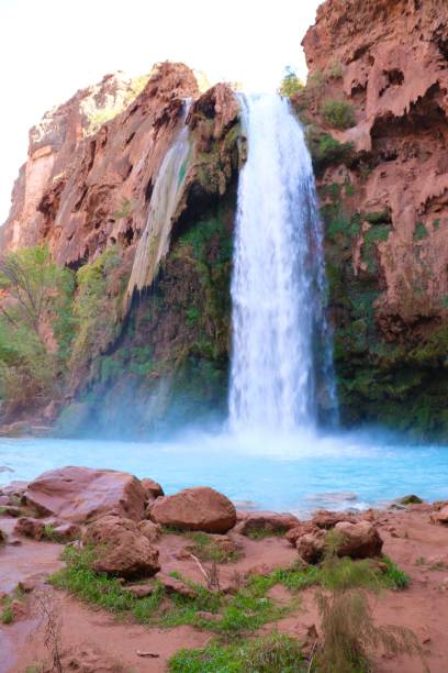 Havasupai waterfalls in canyon Havasupai blue falls in red canyon and trees havasu falls stock pictures, royalty-free photos & images