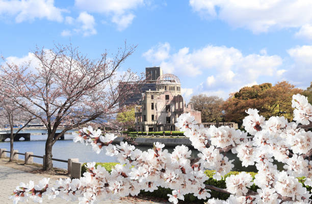 Cherry blossoming season in Japan. Blooming sakura trees near to Atomic Bomb Dome (Genbaku Dome Mae), Hiroshima Peace Memorial, Japan. Ruins of a building after an atomic bomb explode