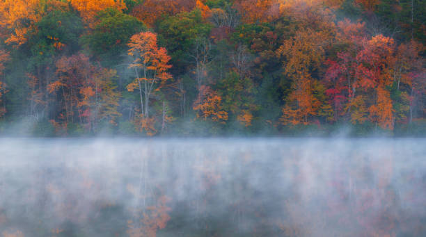 istock Fog over Hidden Lake in Autumn 1292445333