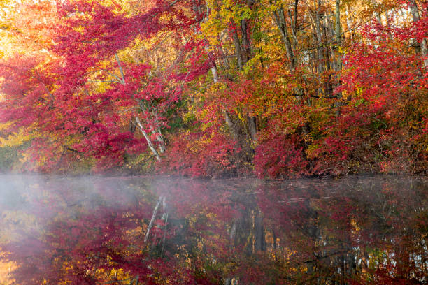 istock Hidden Lake in Autumn 1292445344