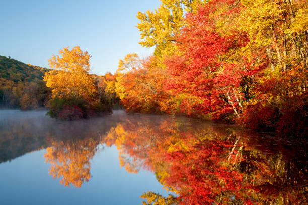 istock Hidden Lake in Autumn 1292445391