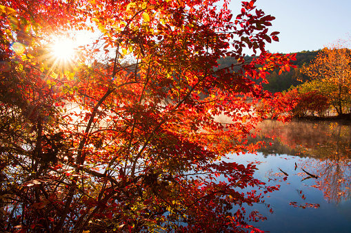 Hidden Lake in Autumn, Delaware Water Gap National Recreation Area, Pennsylvania, USA