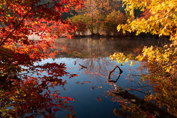 istock Hidden Lake in Autumn 1292445465