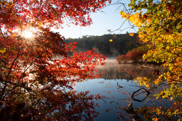 istock Hidden Lake in Autumn 1292445540