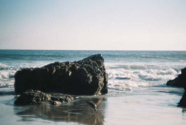 istock El Matador State Beach in Malibu, California 1292446981