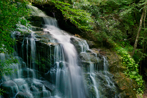 Long exposure of Soco waterfall flowing over the rocks.  Mountain laurel is blooming on both sides of the falls.  The waterfall is located off of the Blue Ridge Parkway in North Carolina.