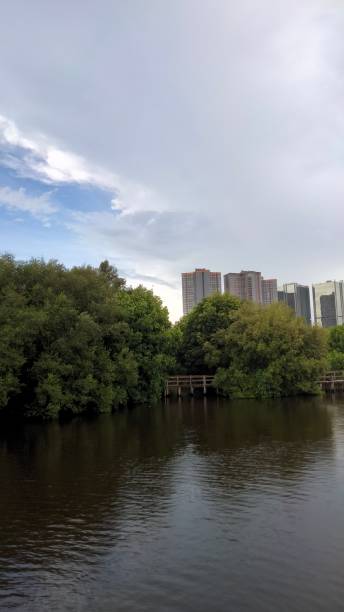 istock Nature near the city 1292448481
