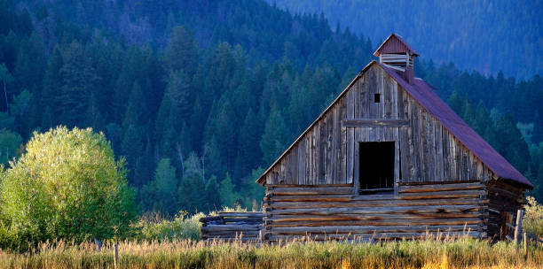 istock Mountain wilderness old barn vintage building weathered abandoned 1292450222