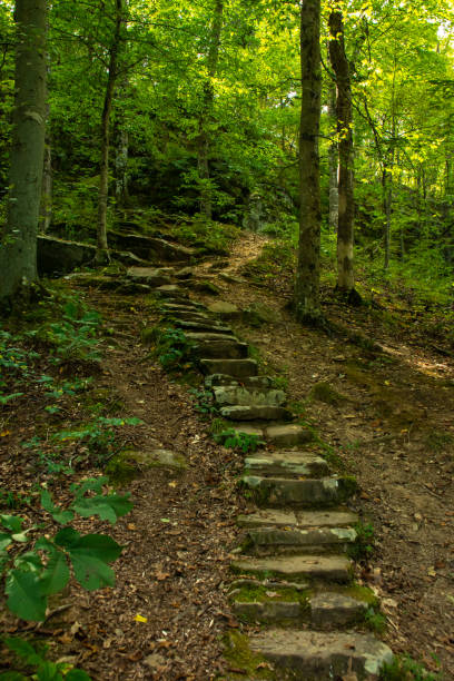 escalera de sone en las rutas de senderismo.  bosque nacional shawnee, illinois. - shawnee national forest fotografías e imágenes de stock